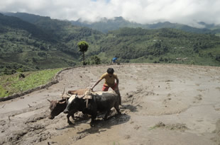 Agricultural Tour in Nepal 
